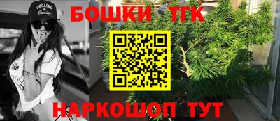 индика Абакан