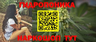 индика Абакан